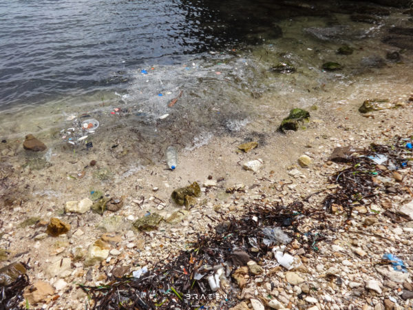 Cala Figuera plastic pollution in ocean