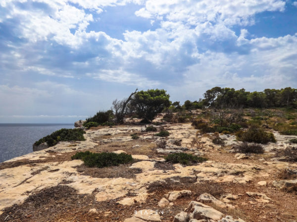 Rough rock path along clifftop