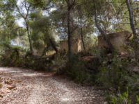 Dirt track with military walls to the side