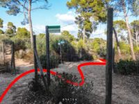 Signposts with route in woodland