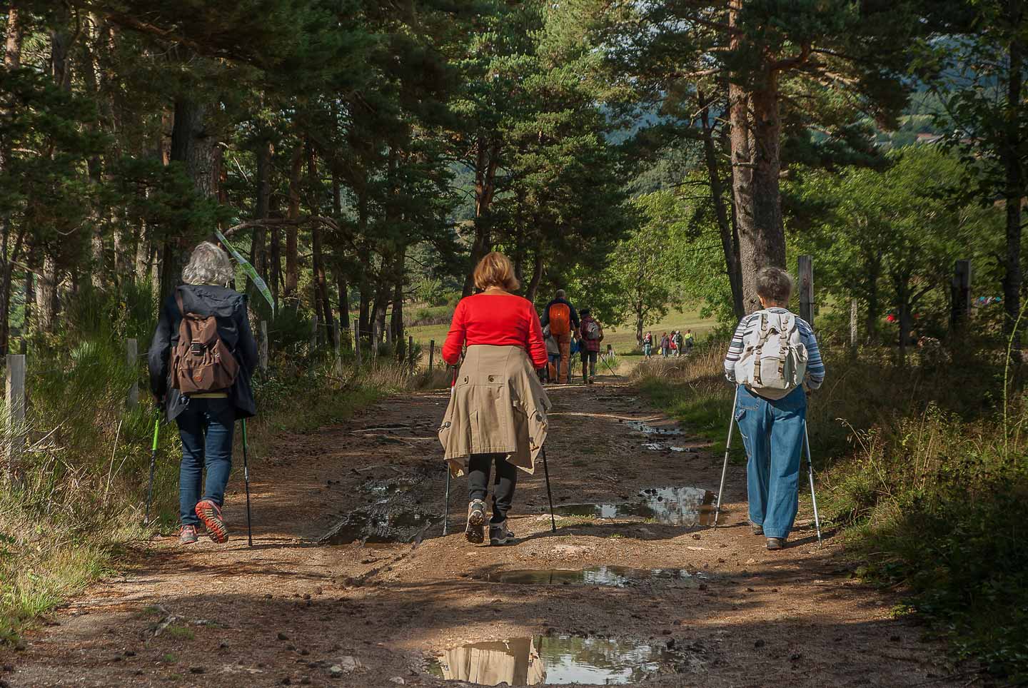 Three women hikers with trekking poles